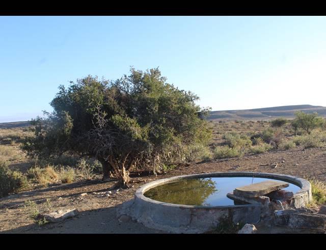 10,614HA FARM FOR SALE IN MERWEVILLE